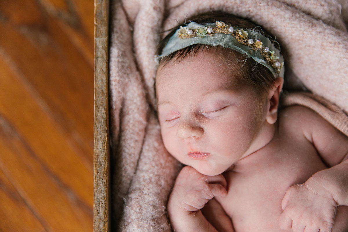 raleigh newborn photographer-lena-9113