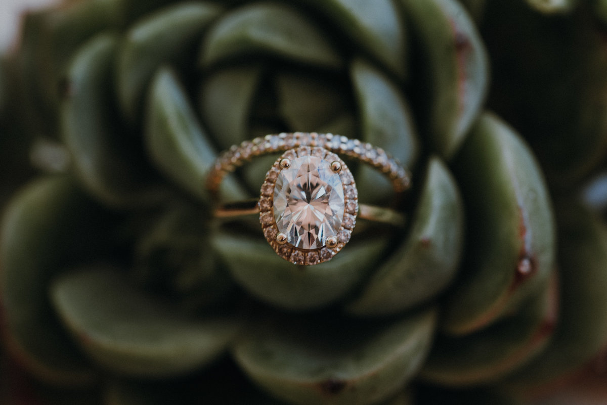 Gorgeous ring detail shot in a succulent at a beautiful Estate Wedding