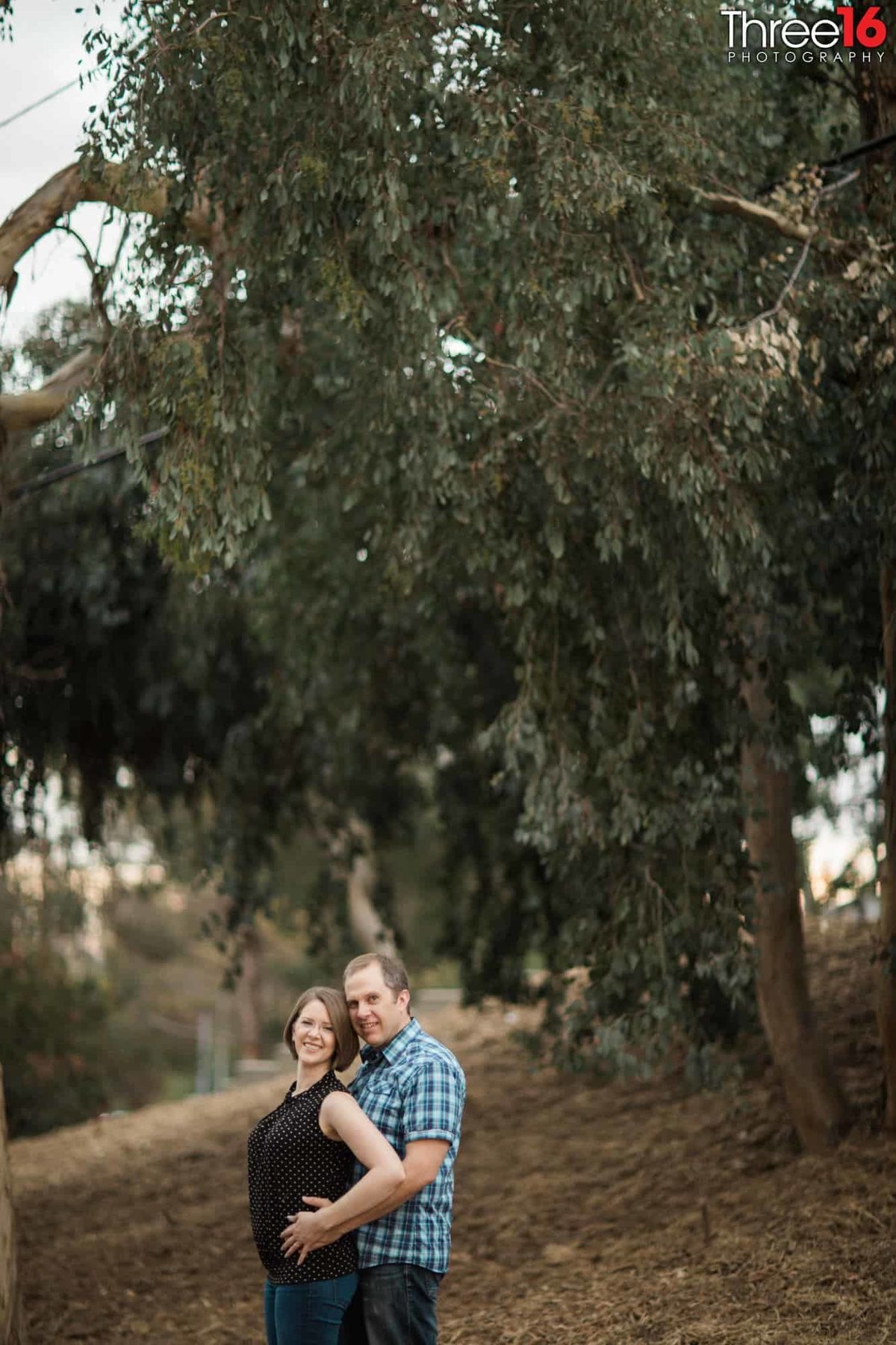 Griffith Park Engagement Photos Los Angeles County Wedding Professional Photographer