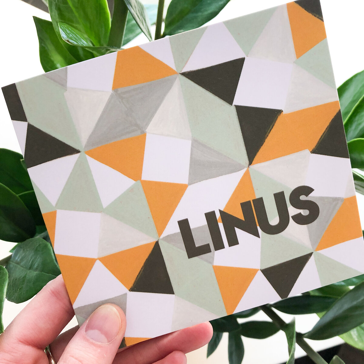 11-28_Linus