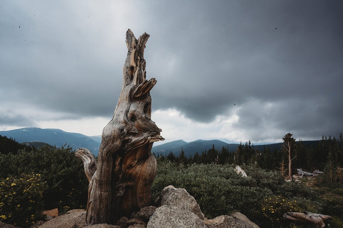 mount-evans-colorado_0348