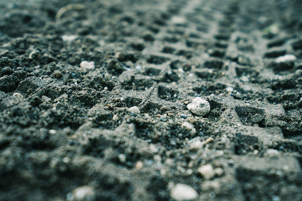 detail_mtb_washington_tiretrack