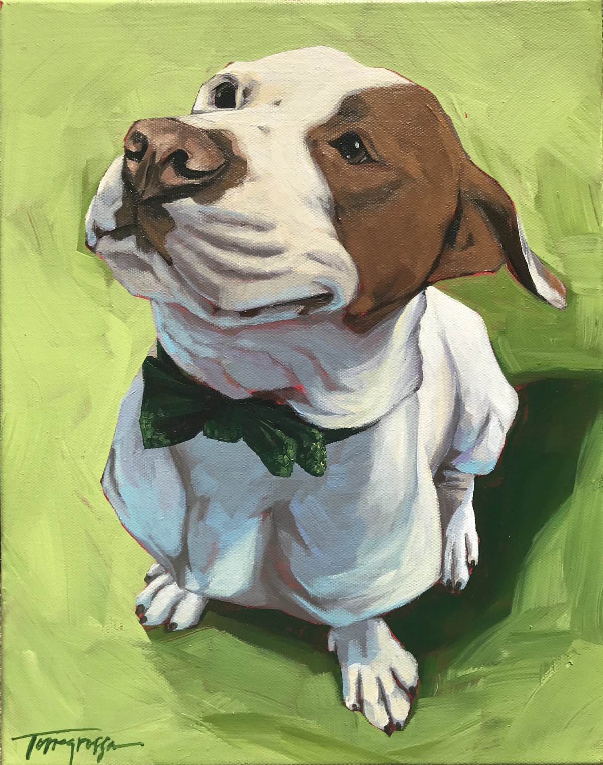 Torregrossa Fine Art Custom Pet Portrait by Stephanie Gaffney
