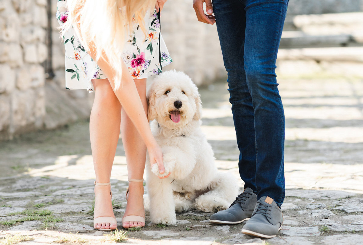 cute-engagement-photos-with-dogs