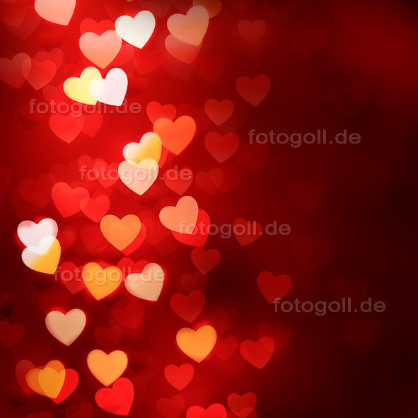 FOTO GOLL - HEART CANVASES - 20120119 - Light Of My Love_Square