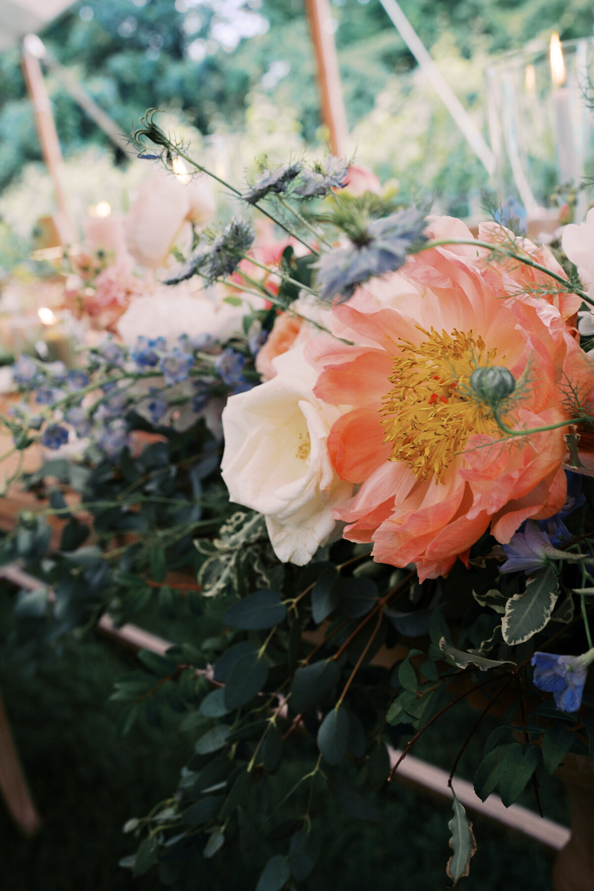 capemayphotographer-53
