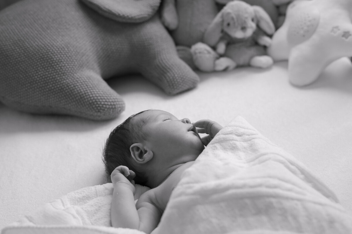 Newborn photographs by specialist newborn photographer, Vanessa
