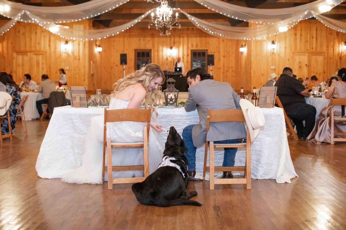 dog sits by bride and groom sweetheart table at wedding in Boerne Texas