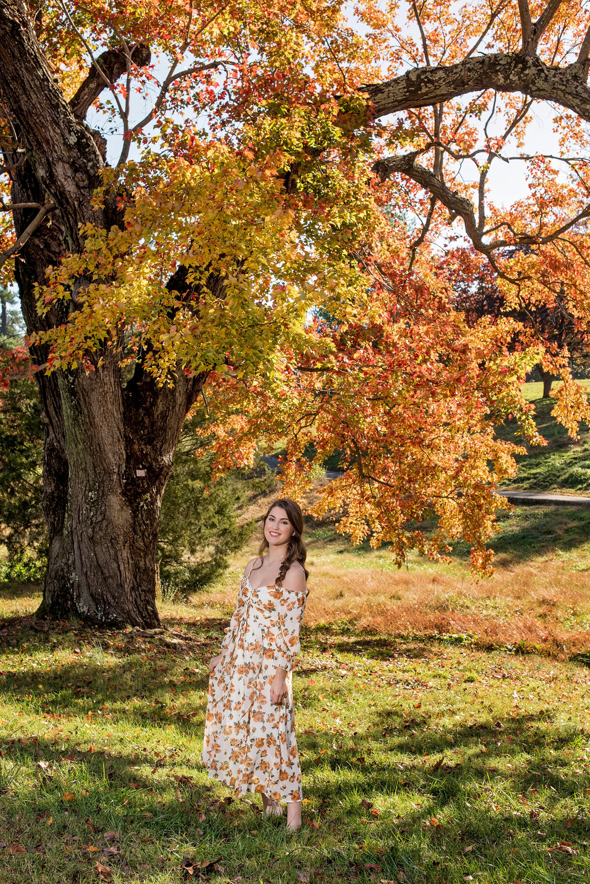 Glen Allen high school senior girl stands beneath tree will fall colors wearing long floral dress during her senior portrait session at Maymont Park.