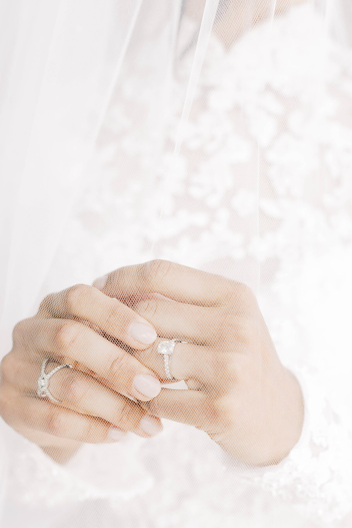 Elle Taylor Photography976685-2