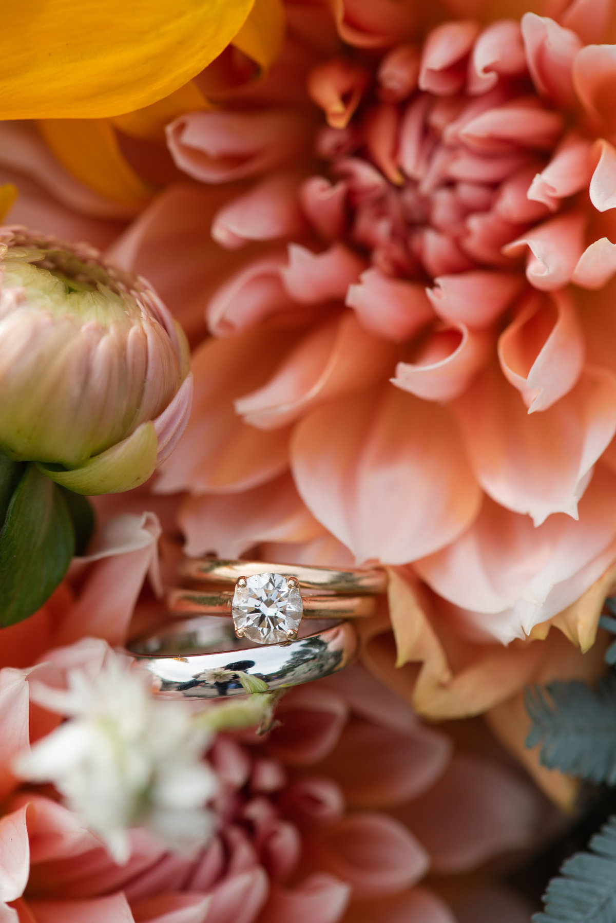 zinnias and gold rings