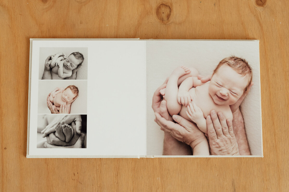 maternity and newborn album