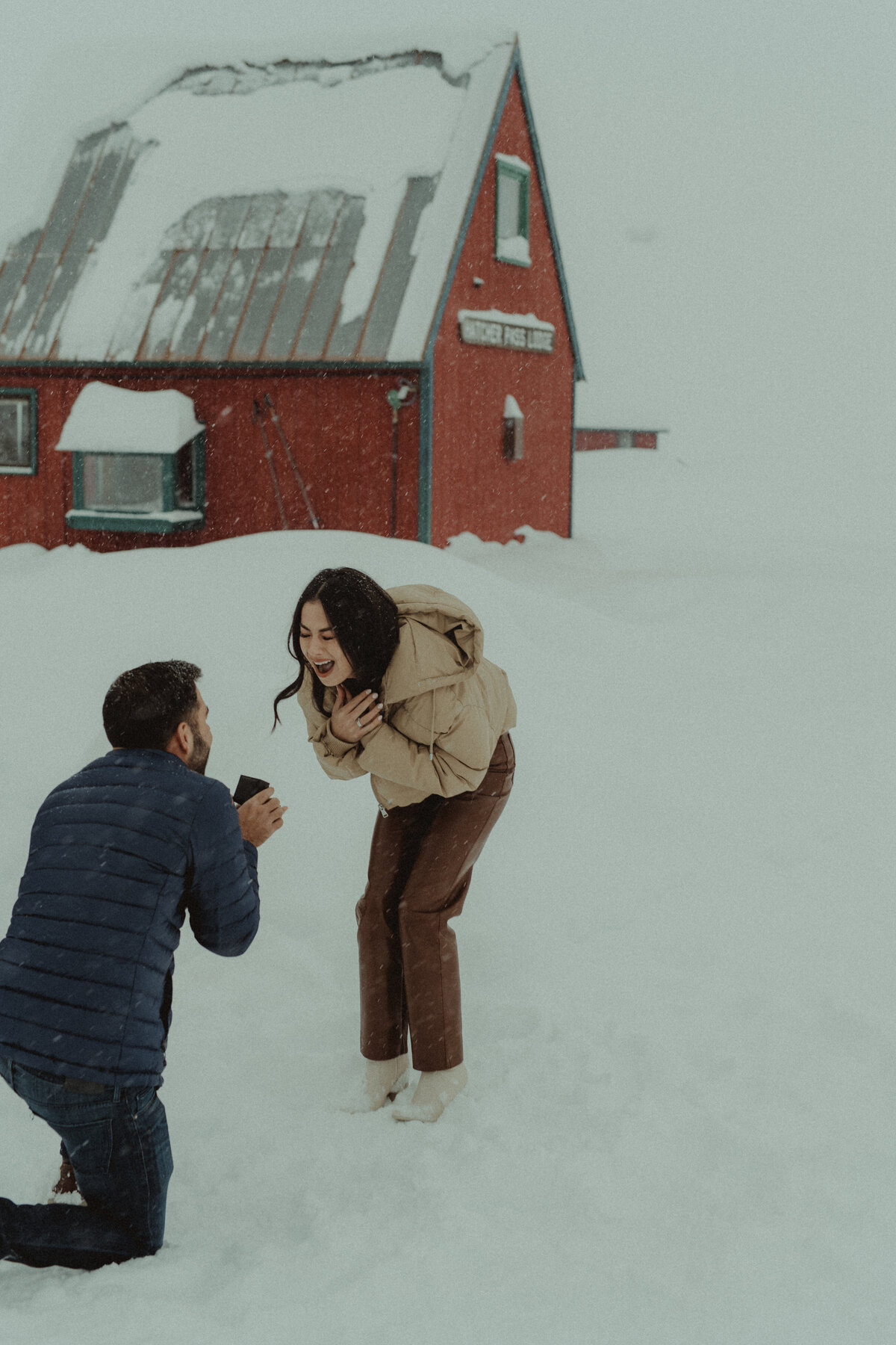 winter photos of proposal