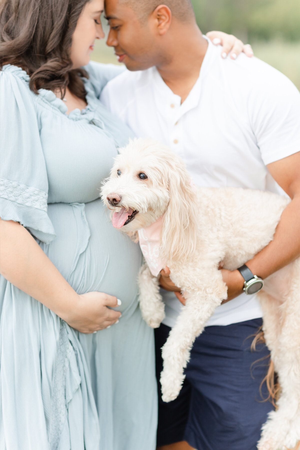 A baby photography northern virginia photo of a pregnant couple forehead to forehead while holding their goldendoodle dog