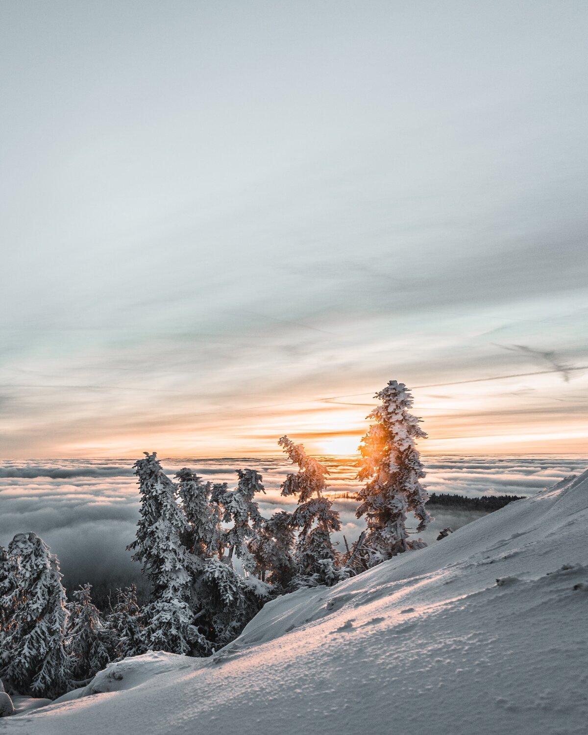 pexels-sebastian-beck-5003666