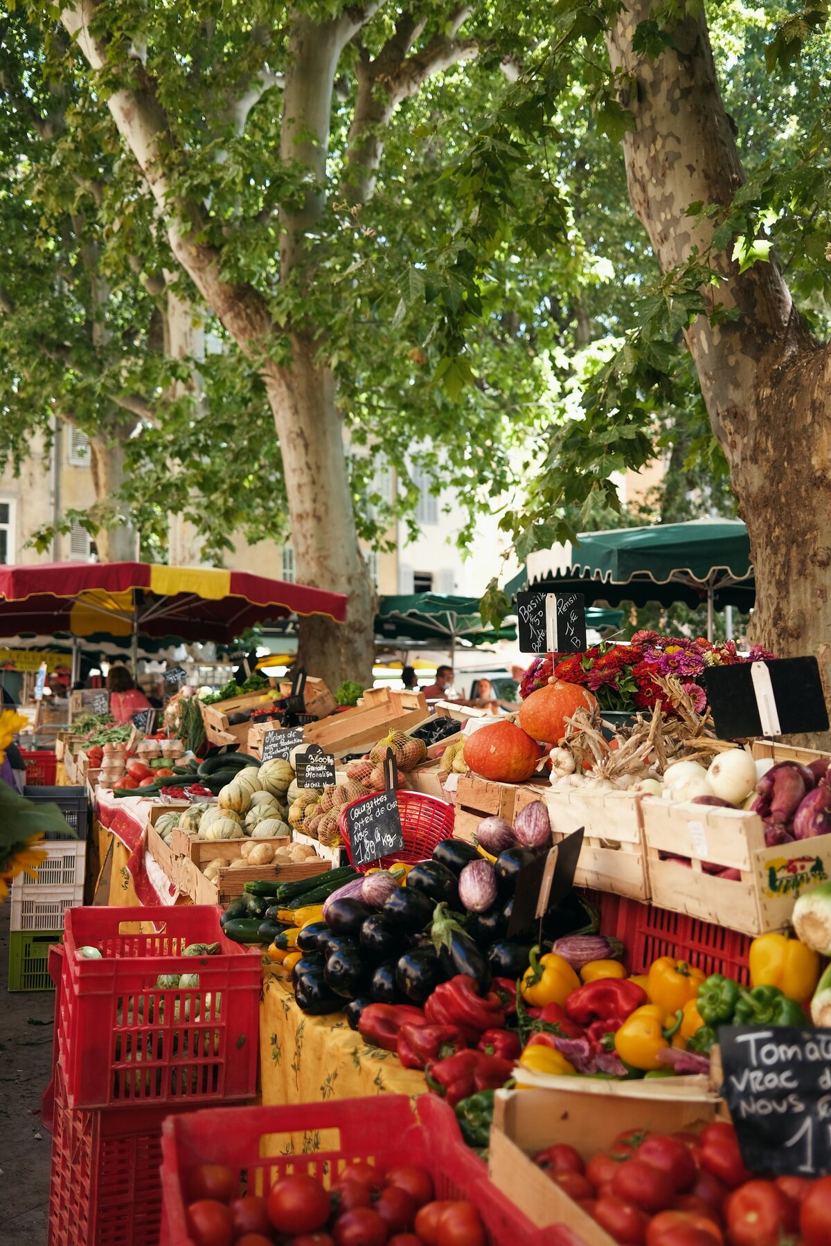 french veg market outside under trees