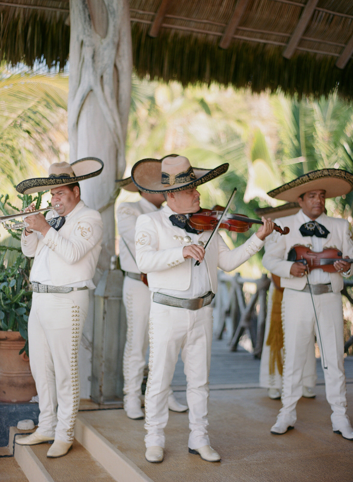 Mariachi band at One and Only Palmilla wedding
