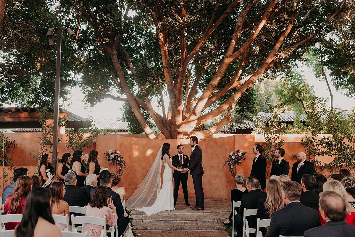 Wedding ceremony under a large tree at the royal palms venue
