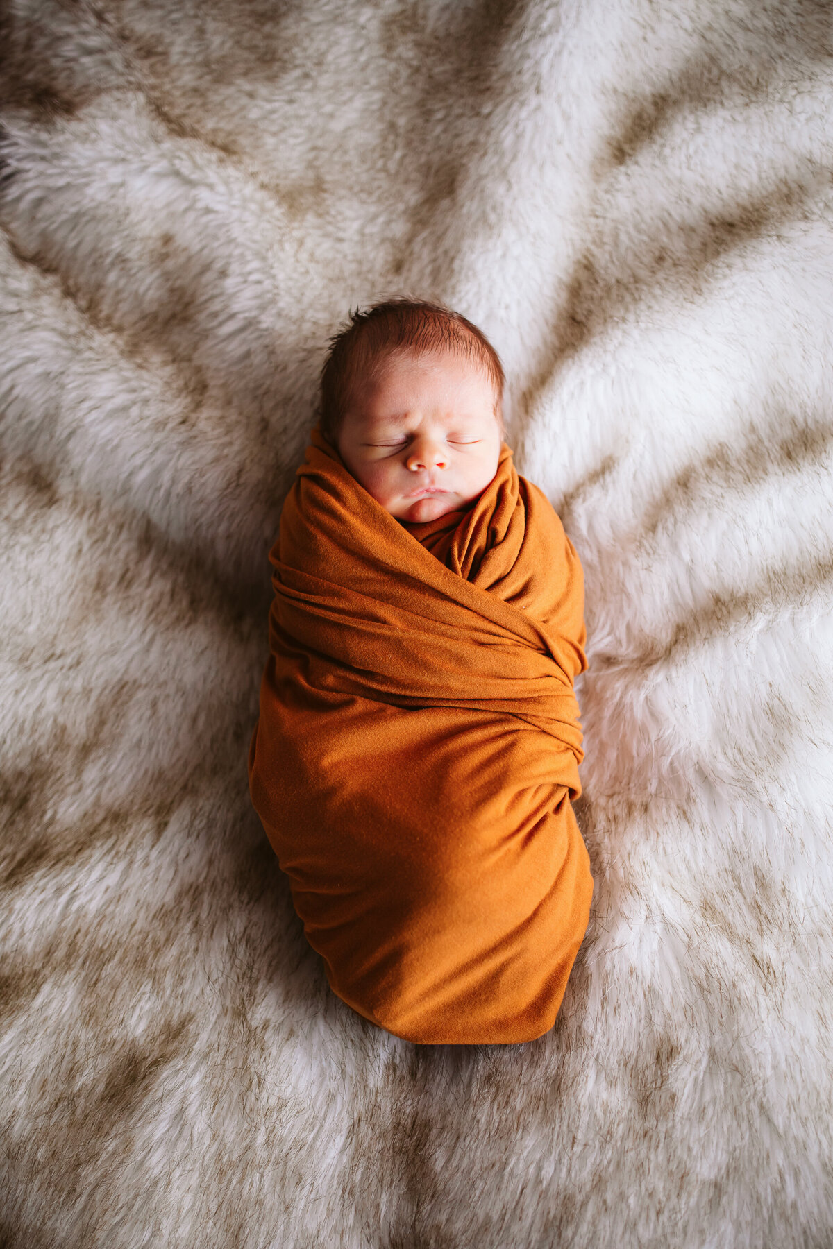 Minnesota-Alyssa Ashley Photography-newborn session-17