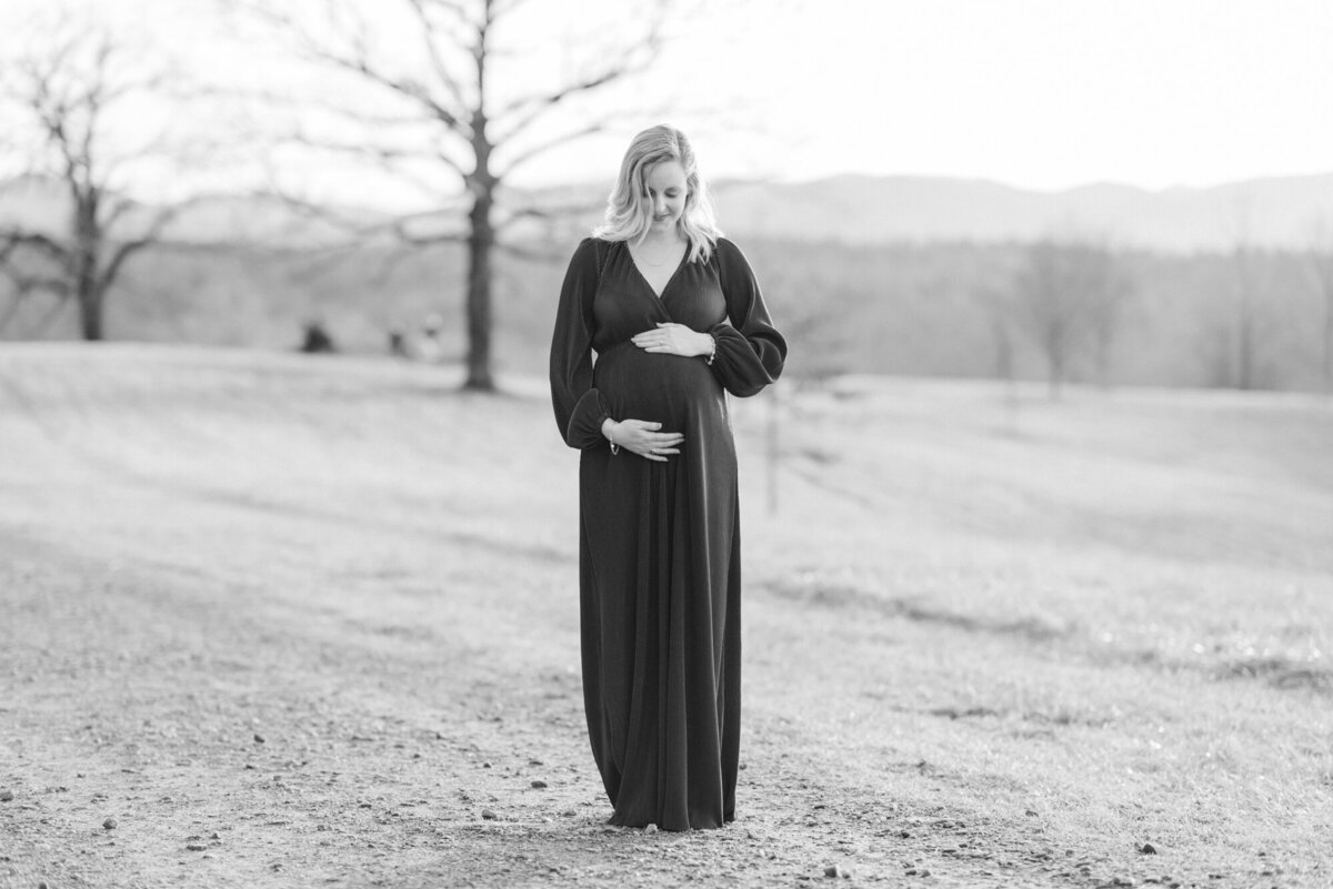 asheville maternity photography-8399