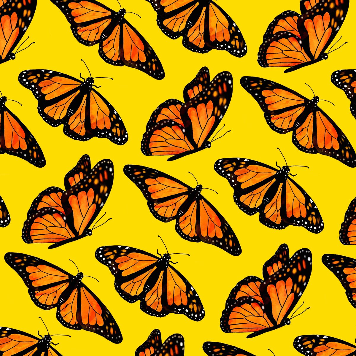 Butterfly Pattern-small-yellow-3