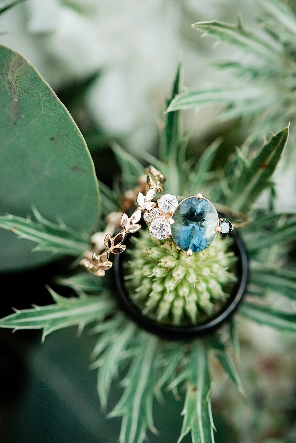 Nestled in the center of a green thistle is the groom's black wedding band. On top that is the bride's blue sapphire engagement ring with small diamond accents and her gold wedding band with a vine leaf pattern.