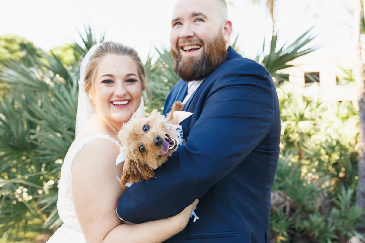 Tampa wedding bride and groom embrace while holding their happy Yorkshire terrier.