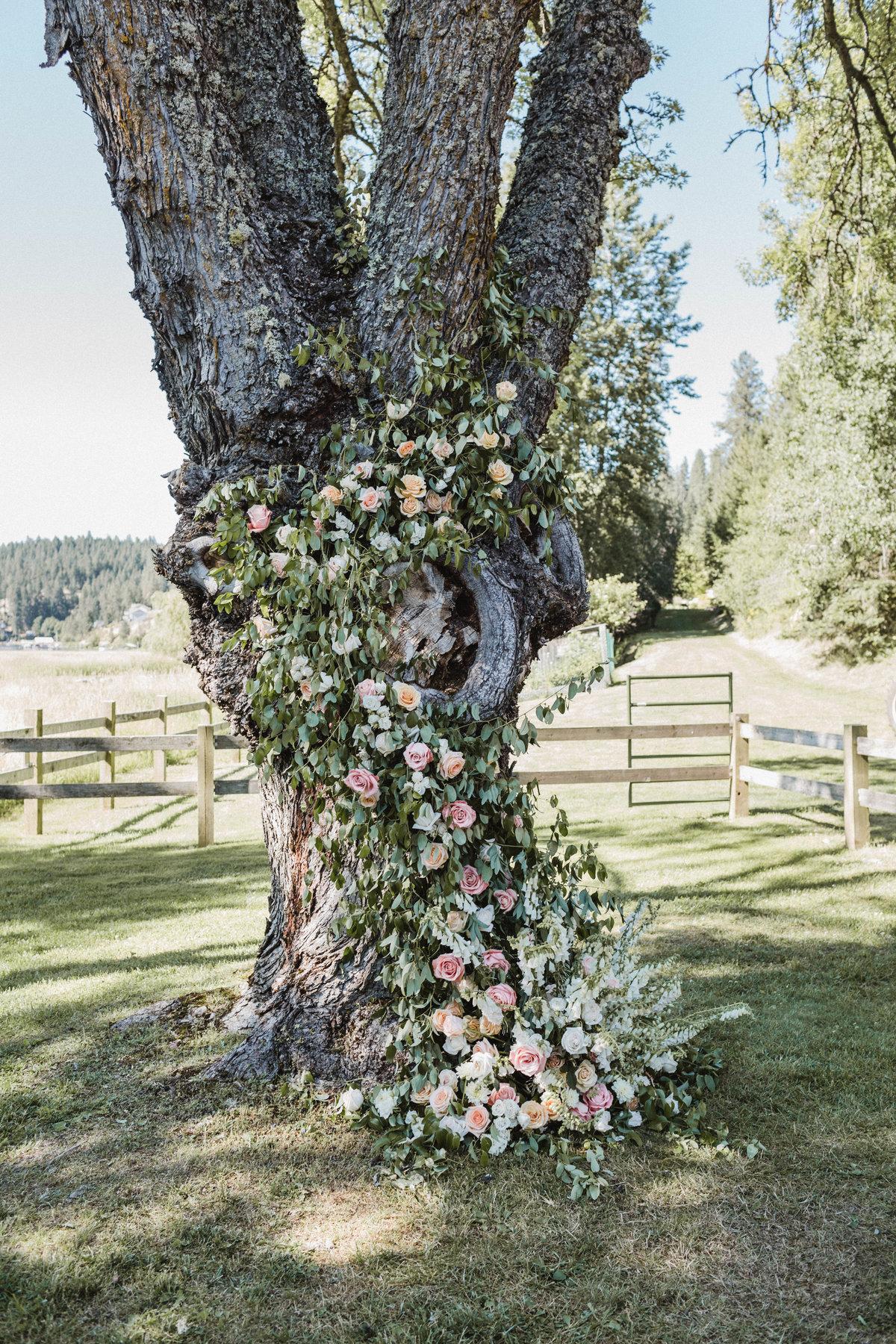 JB Wedding - CEREMONY FLORAL TREE - sarah-falugo-julianne-hough-brooks-laich-wedding-3690