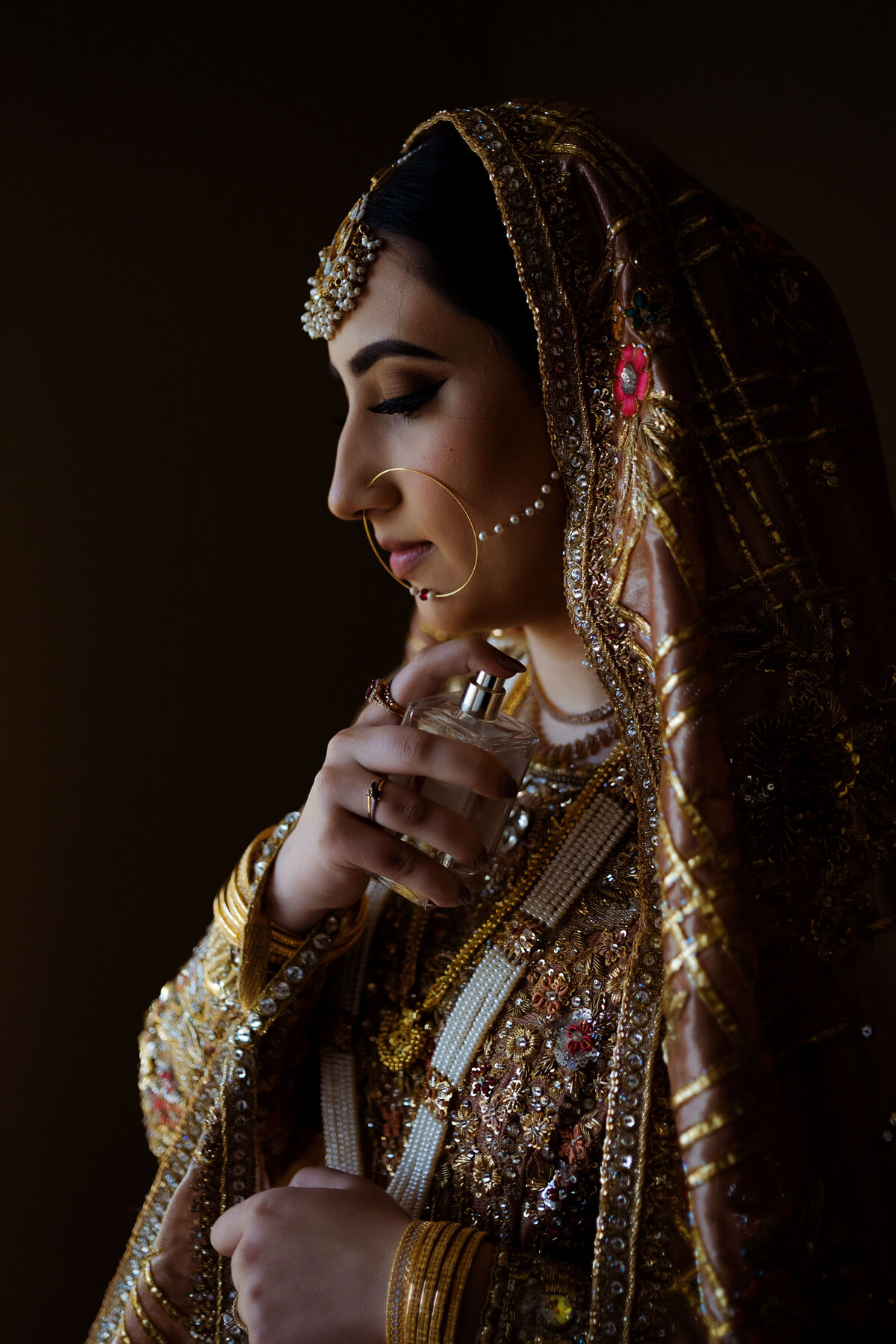 Michigan Indian wedding photography