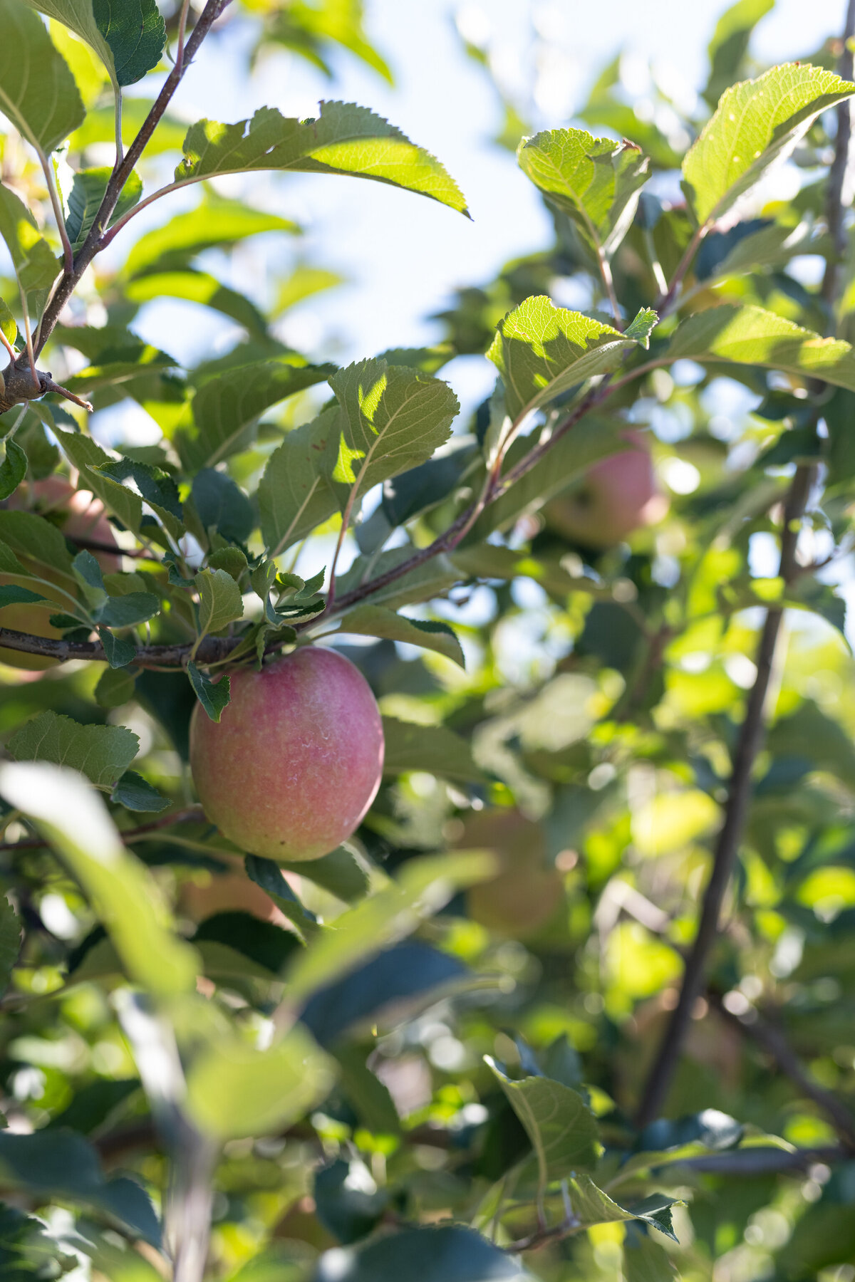 Immeasurably More Retreat_Mariel Villarreal_Day 2_Downsized_facebook-181