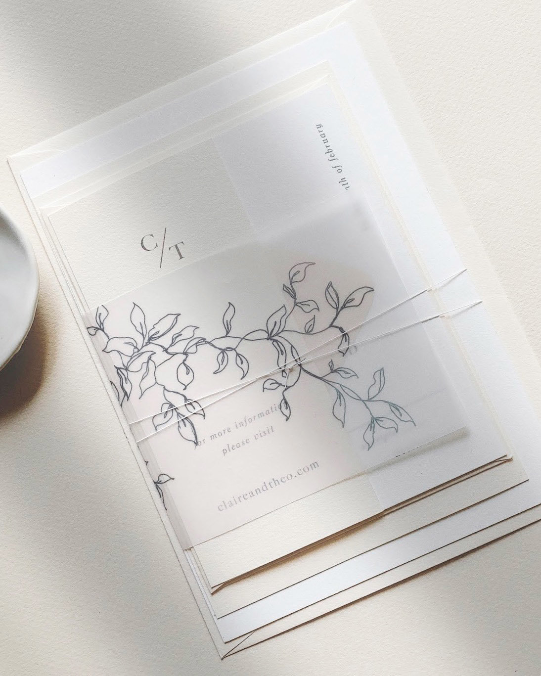 Dominique Alba Minimalist wedding invitation collection with botanical illustrated vellum