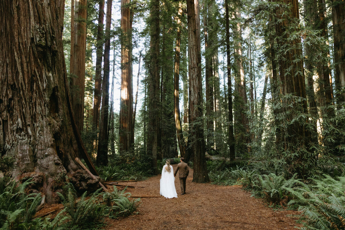 bride and groom standing in redwood forest