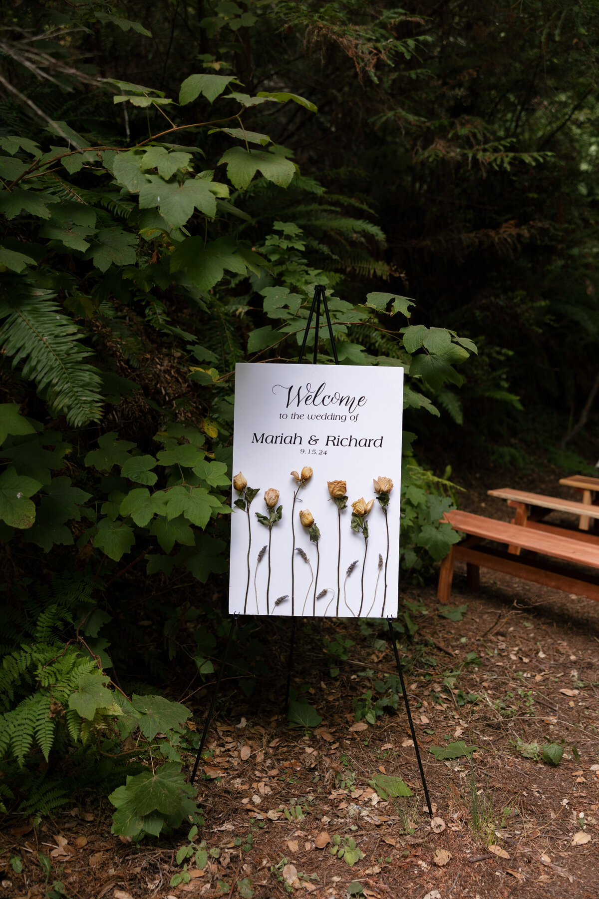 Bay-Area-Elopement-7