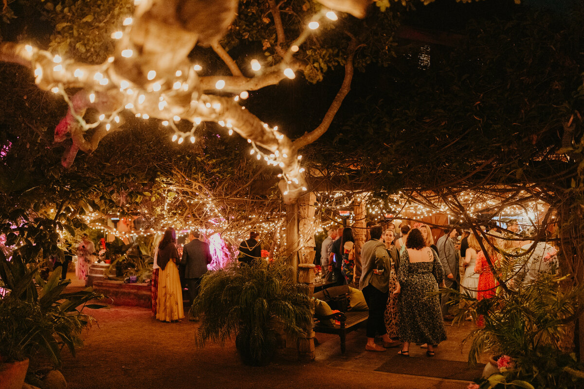 Holly Farm Wedding under the lights
