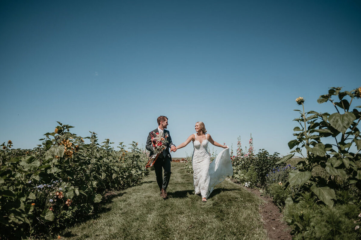 Beautiful couple walking through the flower fields at The Gathered, a nostalgic greenhouse based in Kathryn, Alberta wedding venue, featured on the Brontë Bride Vendor Guide.