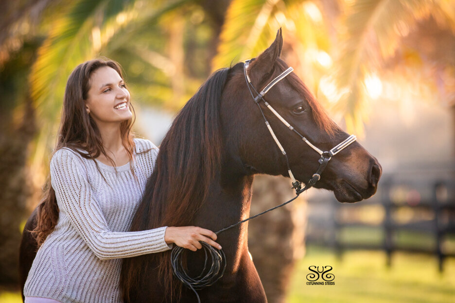 paso fino with woman model photo by Stunning Steeds