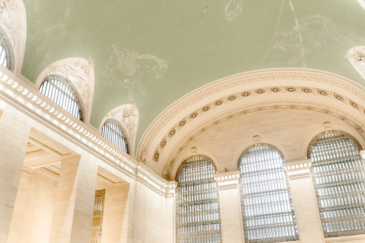 New York Public Library Engagement Session 55