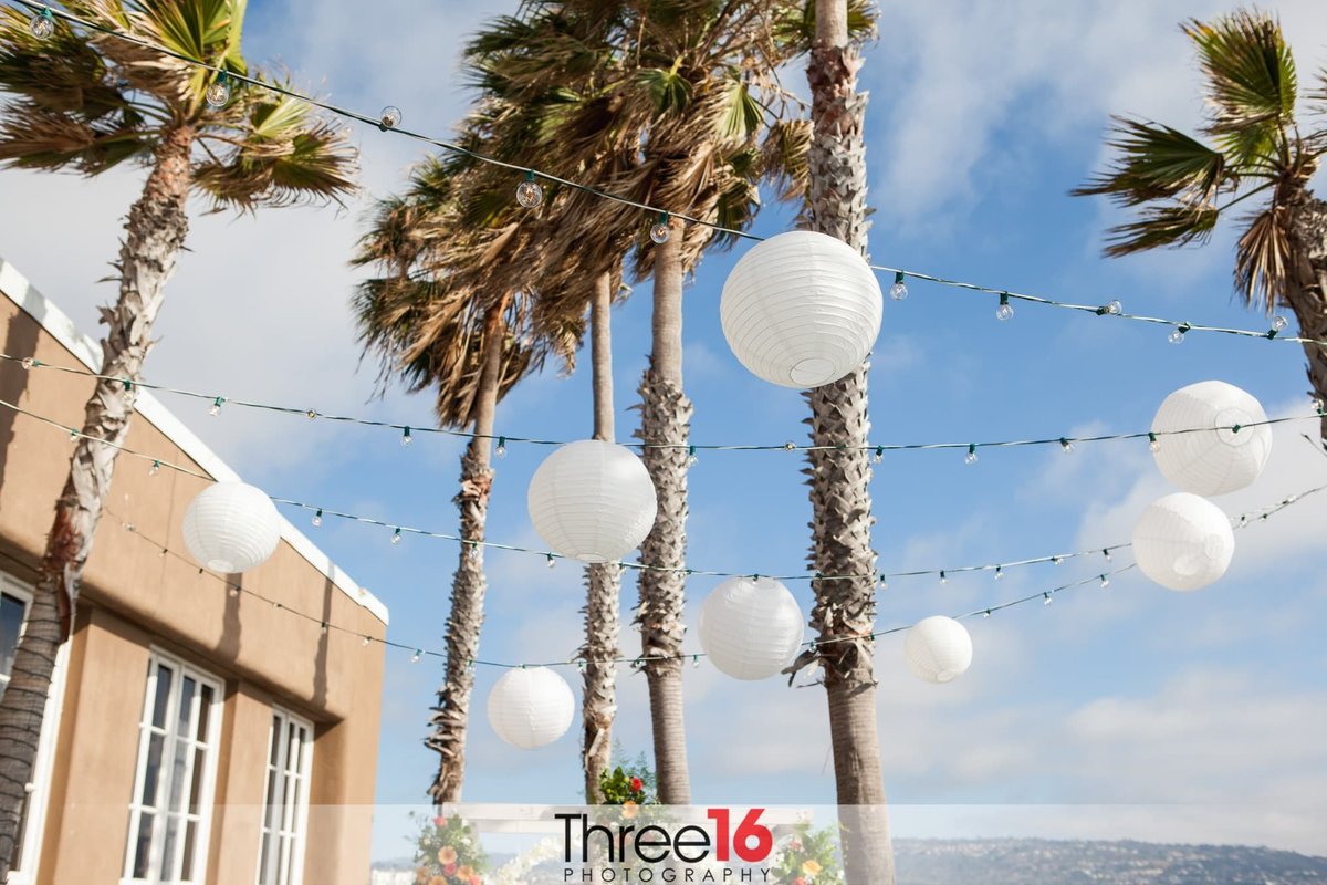 Palm trees blowing in the wind prior to a wedding ceremony
