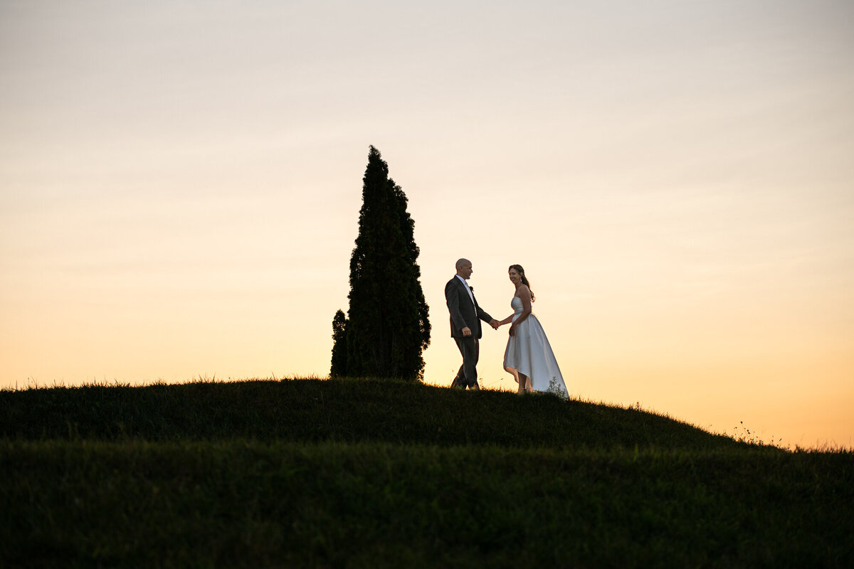 Newlyweds celebrate on the hills during sunset after wedding ceremony