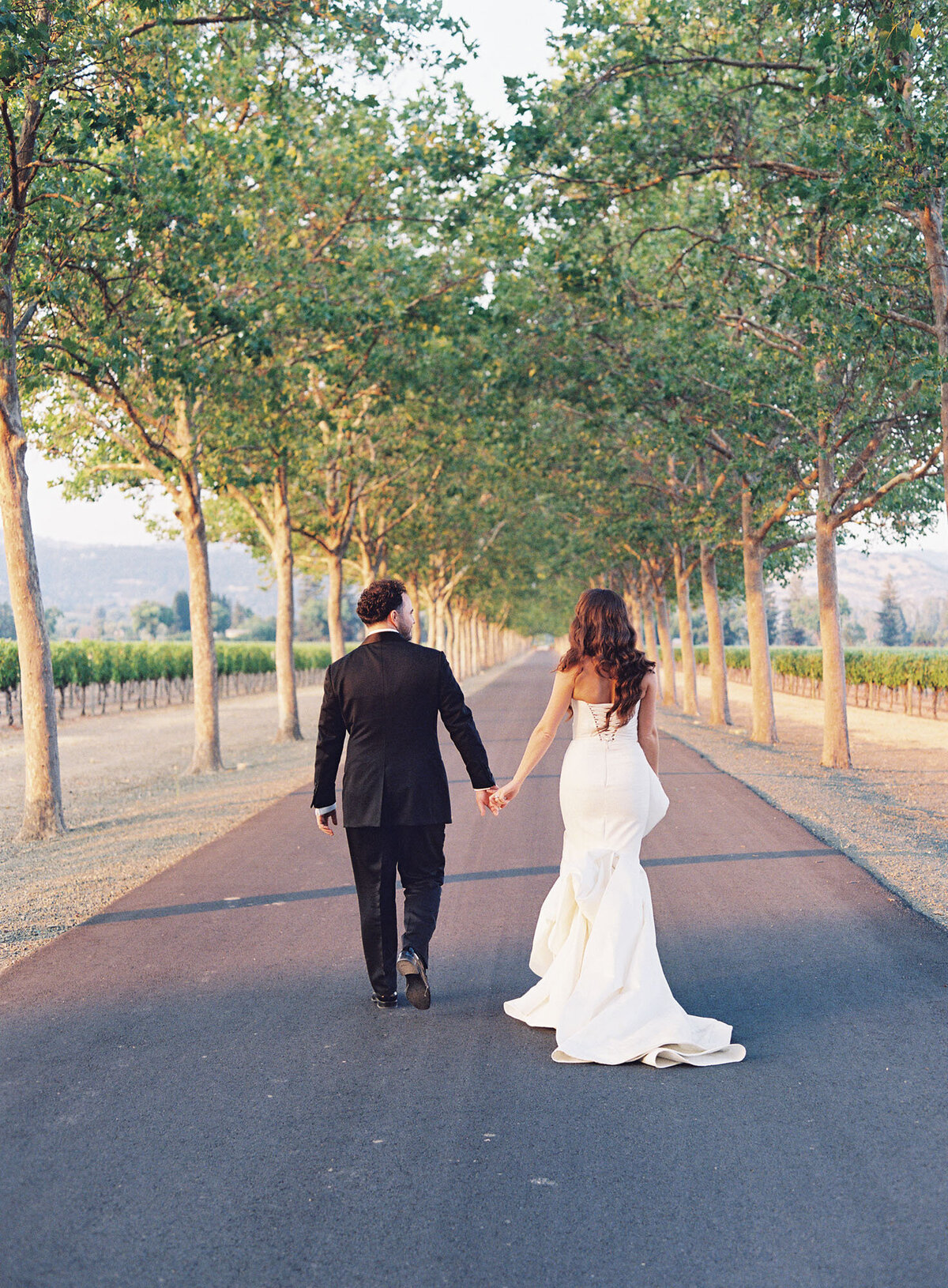 Modern-Wedding-Design-Beaulieu-Garden-Napa-Valley-Jen_Michael_072