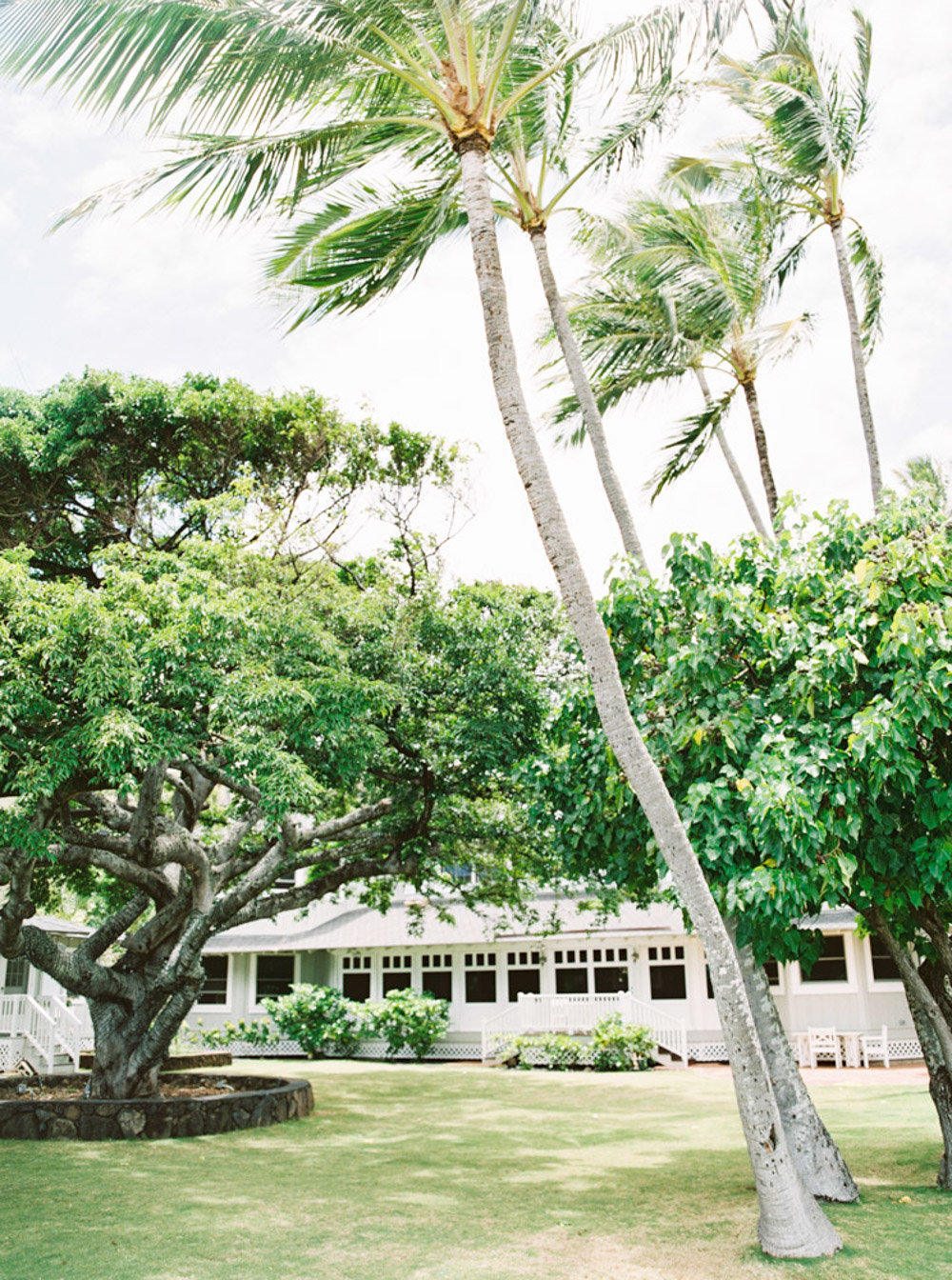 Hawaii Destination Wedding Photographer Sheri McMahon - Fine Art Film Tropical Hawaii Wedding Inspiration-00005