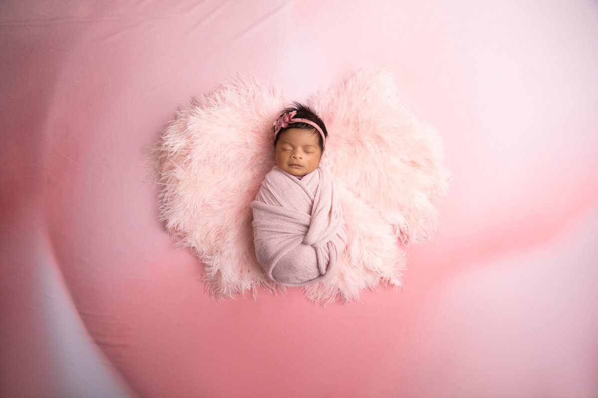 newborn-photoshoot-with-pink-feathers