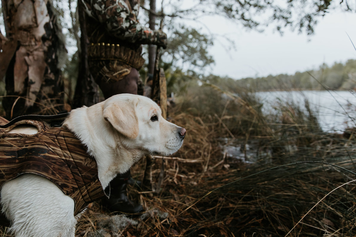 Charleston-sc-duck-hunting-lifestyle-photography-3