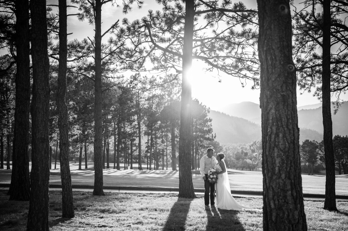 A wide angle shot of a bride and groom standing among the pine trees looking at each other.