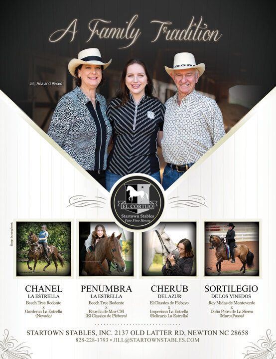 equestrian ad graphic design