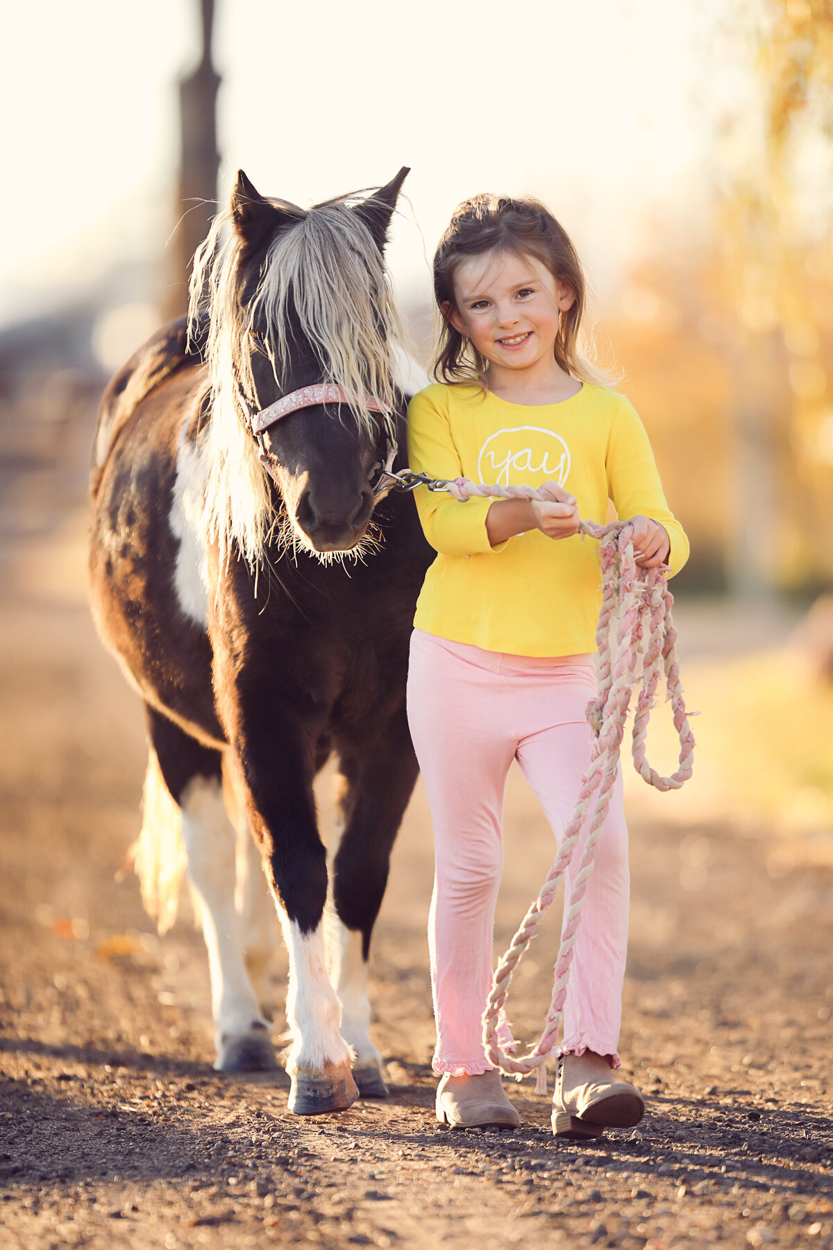 Yvonne-Min-Family-Photos-outside-natural-light-trees-sunset-photography-pets-denver-thornton-broomfield-kids-children-girl-yellow-walk-walking-portraits-session-westminster-north-colorado-flowers-canon-images-camera-erie-farm-donkey-foal-11
