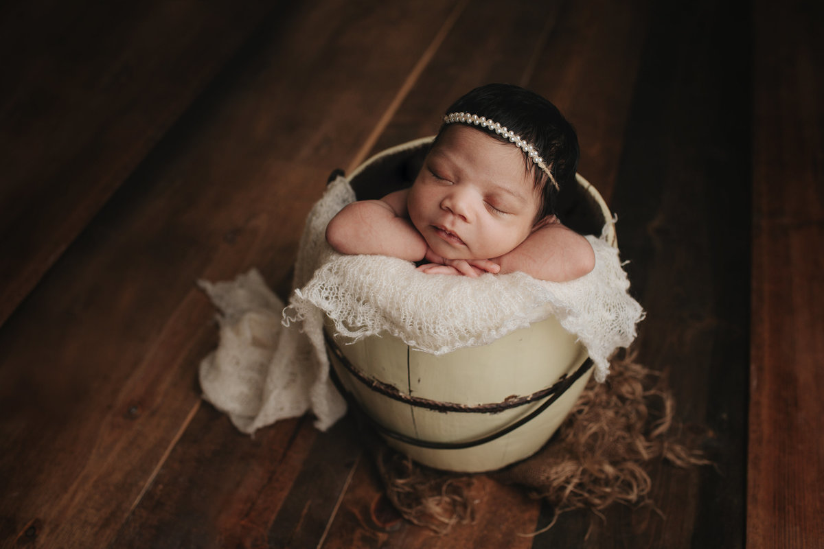 newborn portraits cleveland ohio