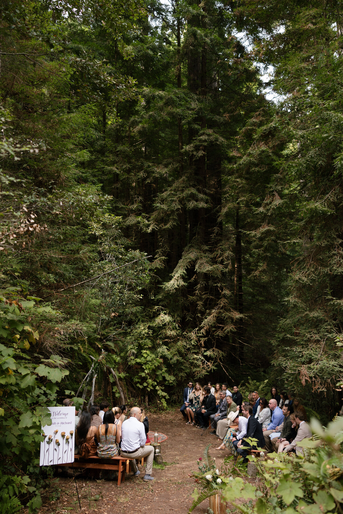 Bay-Area-Elopement-17