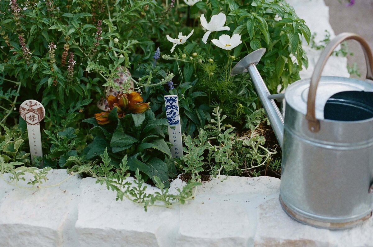 Garden-Watering-Can-Hacienda