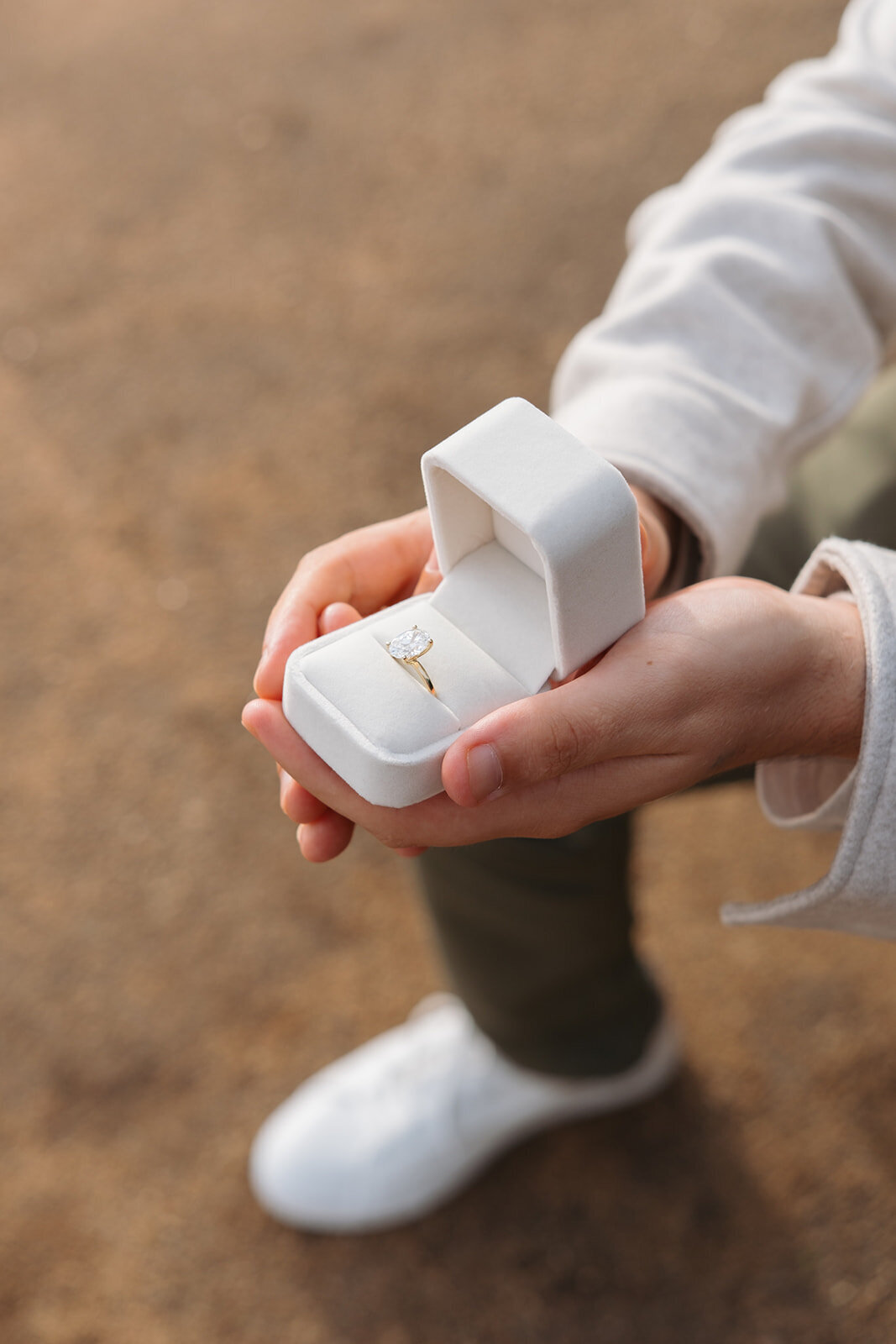 Coby & Alexandra Photography & Films -Big Sur Garrapata Proposal A+E-12_websize